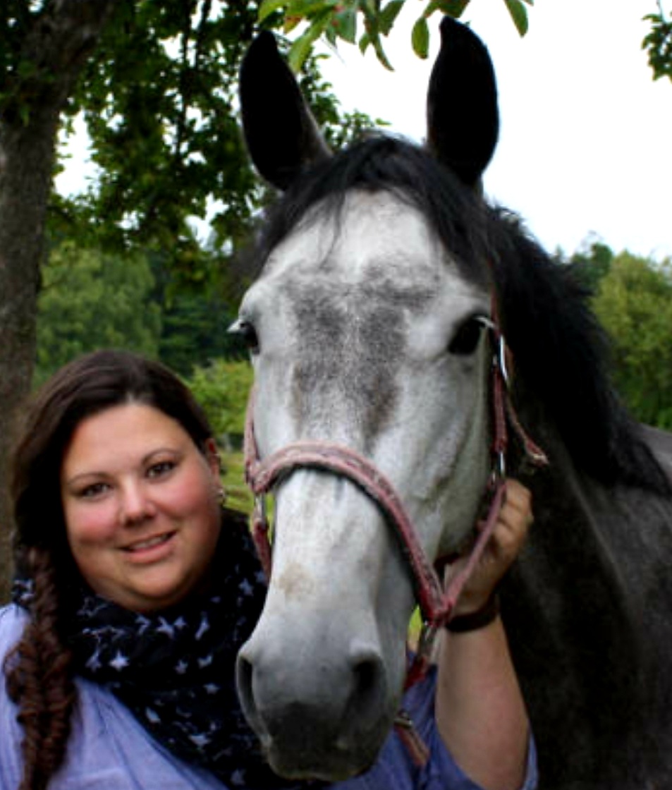 Behandlung Pferd